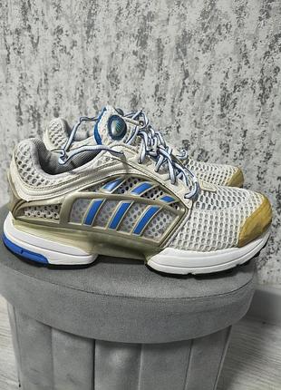 Кросівки adidas. 2