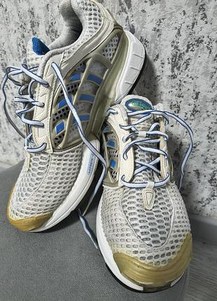 Кросівки adidas. 4