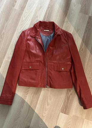 Massimo dutti 4