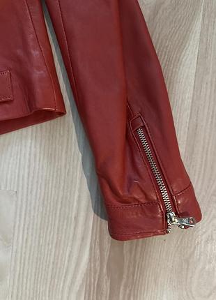 Massimo dutti 8