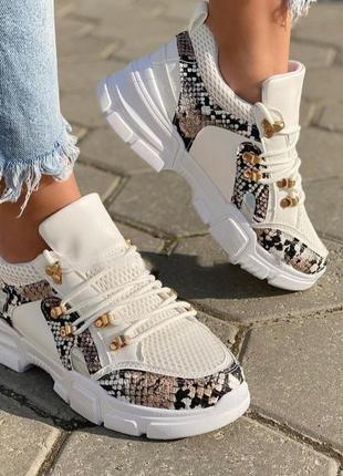 Мега круті кроси зміїний рептилії принт