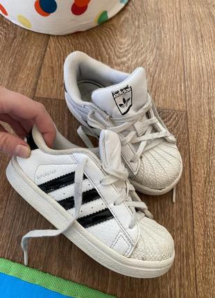 Кросівки adidas 25