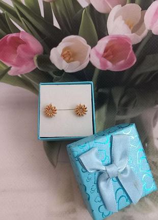 Сережки з коробкою