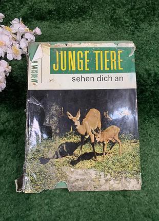Фотоальбом "junge tiere sehen dich an" - jaroslav holeček, artia, 1983 (н8340)