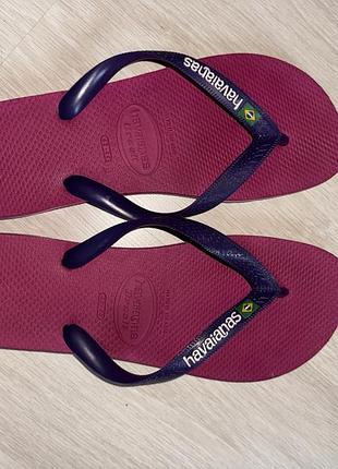 Шльопанці чоловічі havaianas фіолетові