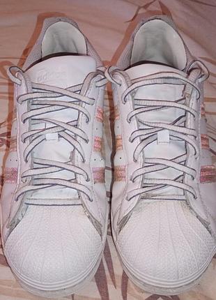 Жіночі кросівки adidas superstar білі
