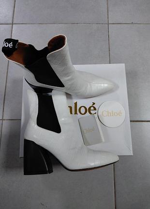 Ботинки жіночі chloe p.38
