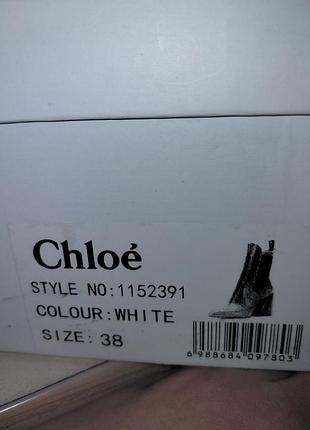 Ботинки жіночі chloe p.38 6