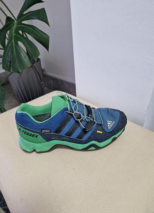 Кросівки чоловічі adidas terrex синьо-зелені