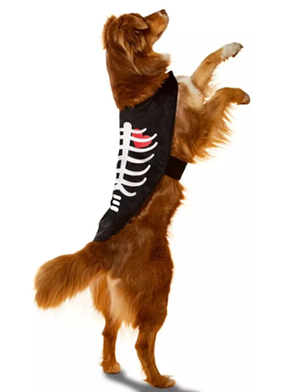 Костюм накидка для собак xs halloween