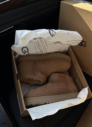 Жіночі ugg уггі уги оригінал