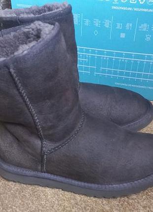 Сапожки ugg australia  р.37. оригинал