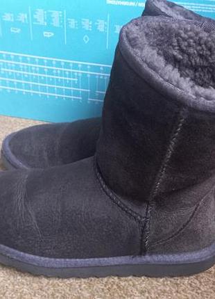 Сапожки ugg australia  р.37. оригинал 4