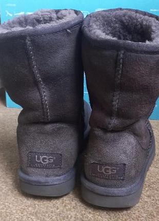 Сапожки ugg australia  р.37. оригинал 5
