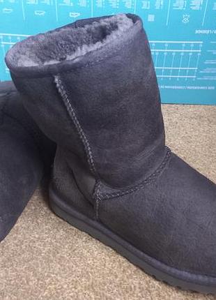 Сапожки ugg australia  р.37. оригинал 7