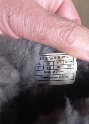 Сапожки ugg australia  р.37. оригинал 8