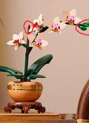 Конструктор lego botanicals мини орхидея (10343) 8