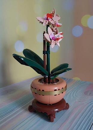 Конструктор lego botanicals мини орхидея (10343) 7