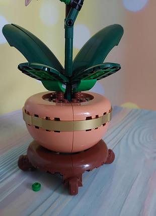 Конструктор lego botanicals мини орхидея (10343) 4