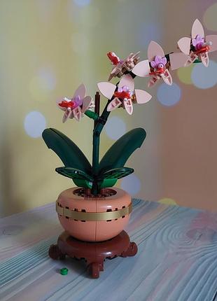 Конструктор lego botanicals мини орхидея (10343)