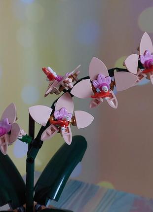 Конструктор lego botanicals мини орхидея (10343) 3