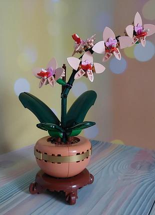 Конструктор lego botanicals мини орхидея (10343) 2