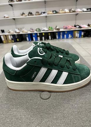 Кросівки adidas campus original