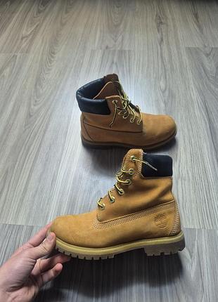 Ботінки timberland на primalofti