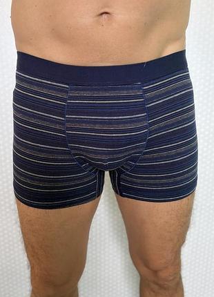 Чоловічі труси-боксери enrico coveri underwear eb1627 у смужку