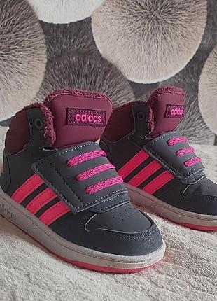 Кросівки для дітей adidas осінні 22 розмір 14 см