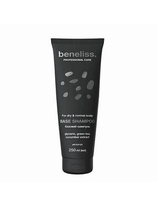 Шампунь beneliss professional care for dry &amp; normal scalp base shampoo