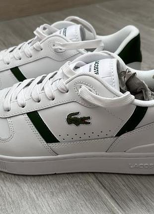 Чоловічі кросівки lacoste (шкіряні)
