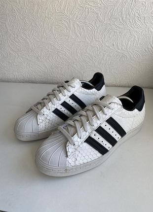 Кросівки жіночі adidas superstar білі