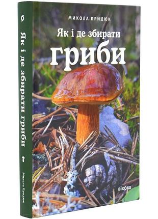 Як і де збирати гриби