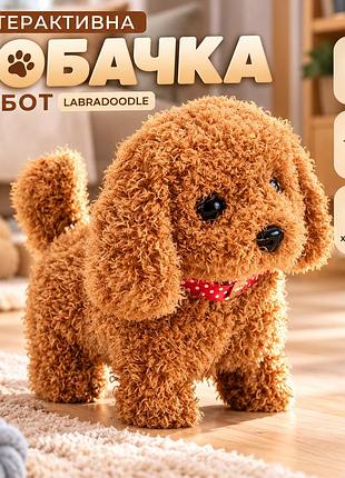 Интерактивная игрушка робот-собака labradoodle коричневый, плюшевый щенок с галотом, ходьбой, движением хвоста для детей