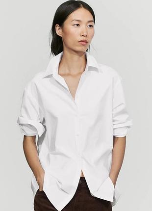 Белоснежная рубашка massimo dutti размер м