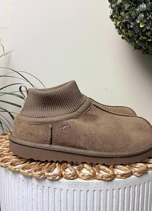 Кроссовки женские ugg classic ultra stretch cuff (36 (22.5 см))