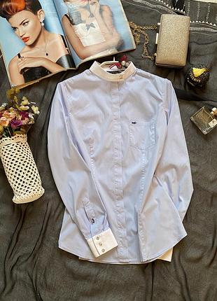 Класична вишукана блузка-сорочка ніжного небесного кольору massimo dutti, розмір s
