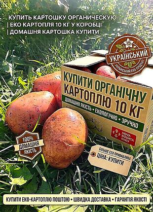Купить органическую картошку 10 кг в коробке – домашнее качество