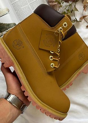 Timberland 6