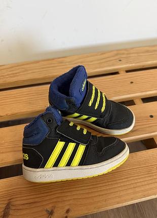 Дитячі кросівки хайтопи adidas 26 для хлопчика вищі кросівки