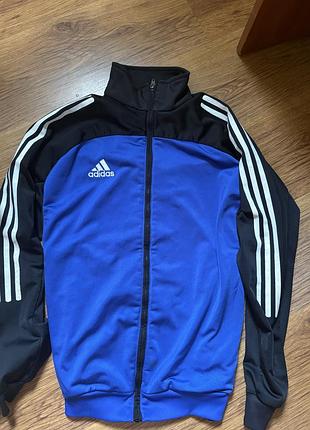 Спортивна кофта чоловіча adidas синя