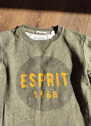 Чоловічий світшот esprit slim fit (хакі / оливковий) з логотипом
