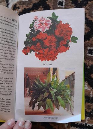 Книги про кімнатні рослини 7