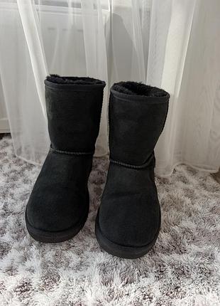 Уггі жіночі ugg classic short чорні