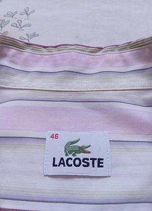 Рубашка lacoste 6