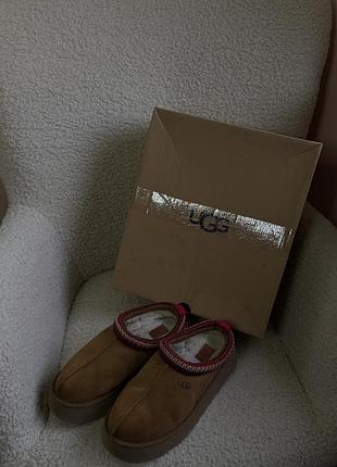 Черевики жіночі ugg коричневі 24-24,5 см