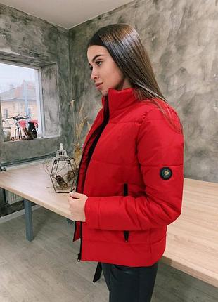 До - 5°🍂❄ демісезонна утеплена силіконом стьобана куртка на змійці з кишенями під горло