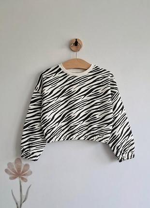 Крутий стильний укорочений світшот принт зебра на дівчинку 7/8р m&s collection