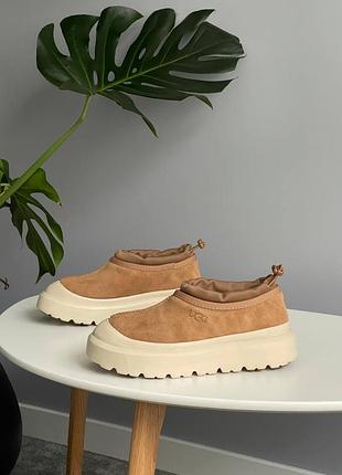 Уггі ugg tasman hybrid chestnut beige 8